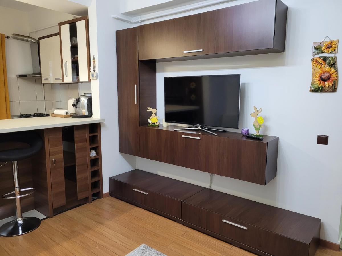 Andi Apartment Sibiu Exteriör bild